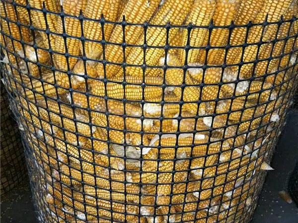 塑料土工格栅图片2